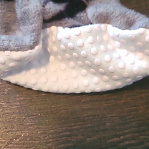 🌟NBA Toronto Raptors Sleeper - Picture 2 of 4